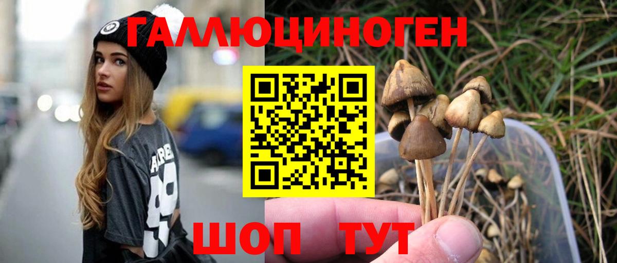 Псилоцибиновые грибы прущие грибы  Вход с VPN  Конаково  Галлюциногенные грибы ЛСД 